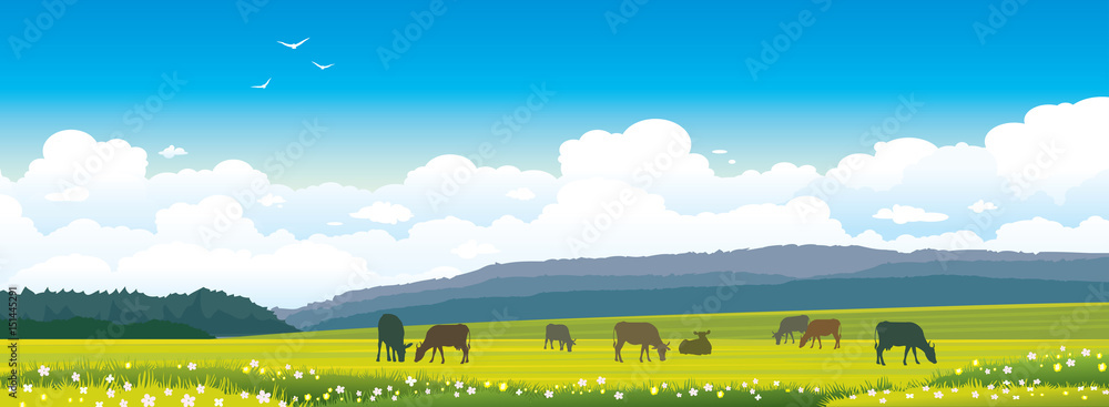 Obraz premium Summer panorama. Landscape with cows, grass, meadow.