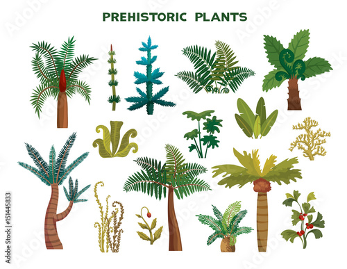 Set of prehistoric plants