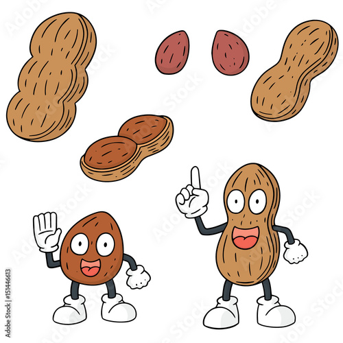 vector set of peanut