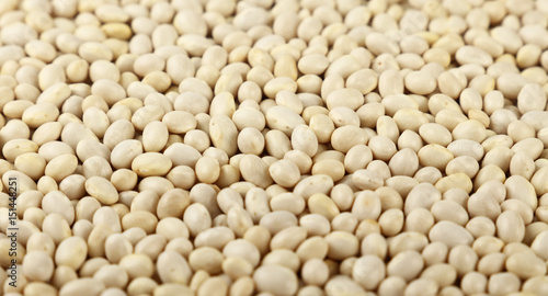White frigole kidney beans close up background