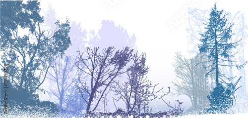 Panoramic winter forest landscape with silhouettes of snowy trees, plants and bushes. White, blue, gray and green landscape with snow, bare trees and conifers
