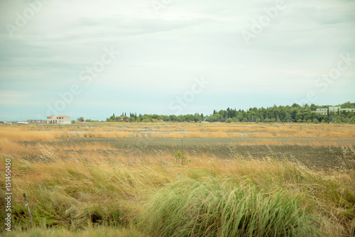 Long and wide yellow fields of barley. It is summer time and the day is wonderful and sunny.