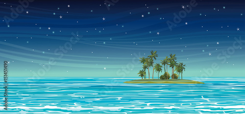 Coconat island in the sea at night. Vector seascape.