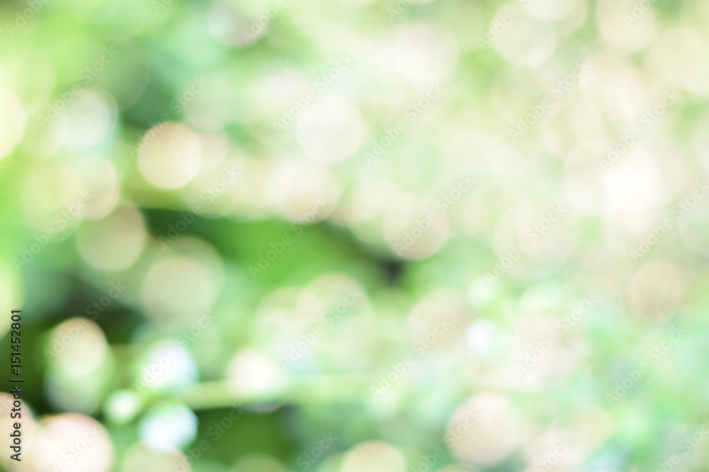 green blurred bokeh abstract light background
