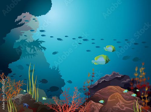 Coral reef and underwater creatures.