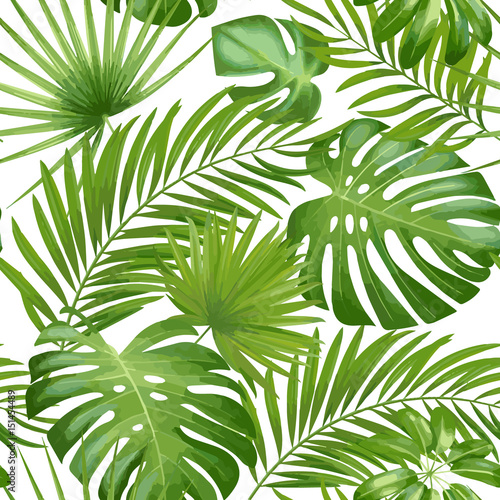 Exotic leaves  rainforest. Seamless realistic tropic leaf pattern. Vector background.