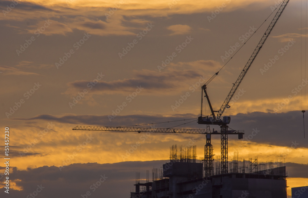 cranes are building evening time and silhouette