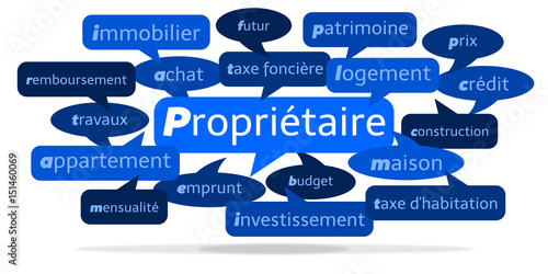 Nuage de Mots Propriétaire v3