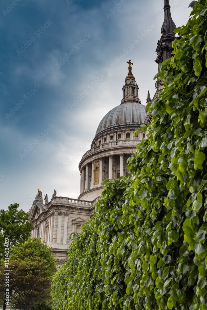 St Pauls Cathedra looms above leaves and trees  in London