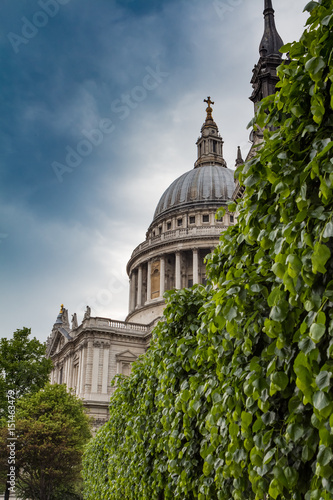 St Pauls Cathedra looms above leaves and trees in London