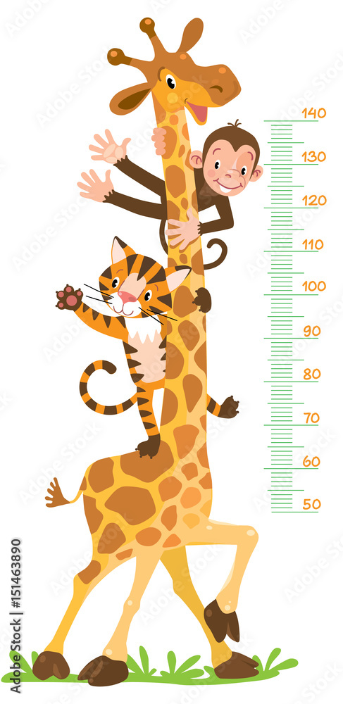 Fototapeta premium Żyrafa, małpa, tygrys. Miernik ścienny lub wysokościowy
