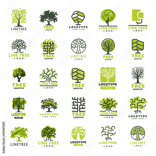 Tree outdoor travel green silhouette forest badge coniferous natural logo badge collection line spruce vector.