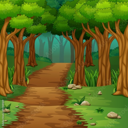 Forest scene with dirt road