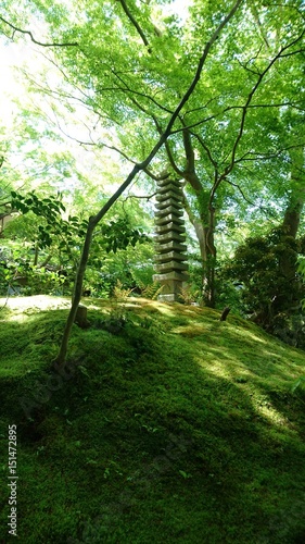 無量寿山光明寺瑠璃光院