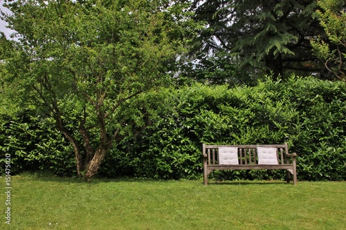 Wooden bench with pillows next to pomegranate tree in an italian garden