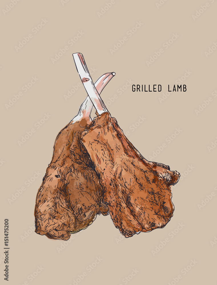 vector lamb chops hand drawing .detailed ink food illustration Stock Vector Adobe Stock