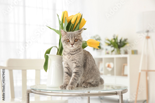 Cute cat and jug with flowe...