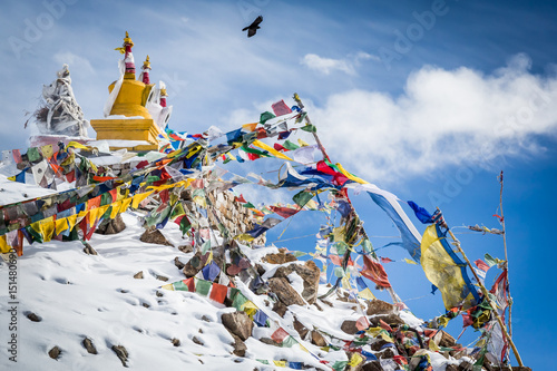 A bird is flying above the colourful Buddhist religious stupas and prayer flags at Khardung La pass, the highest (5,359 m, 17,582 ft) motorable pass on the world. Ladakh, Jammu and Kashmir, India photo
