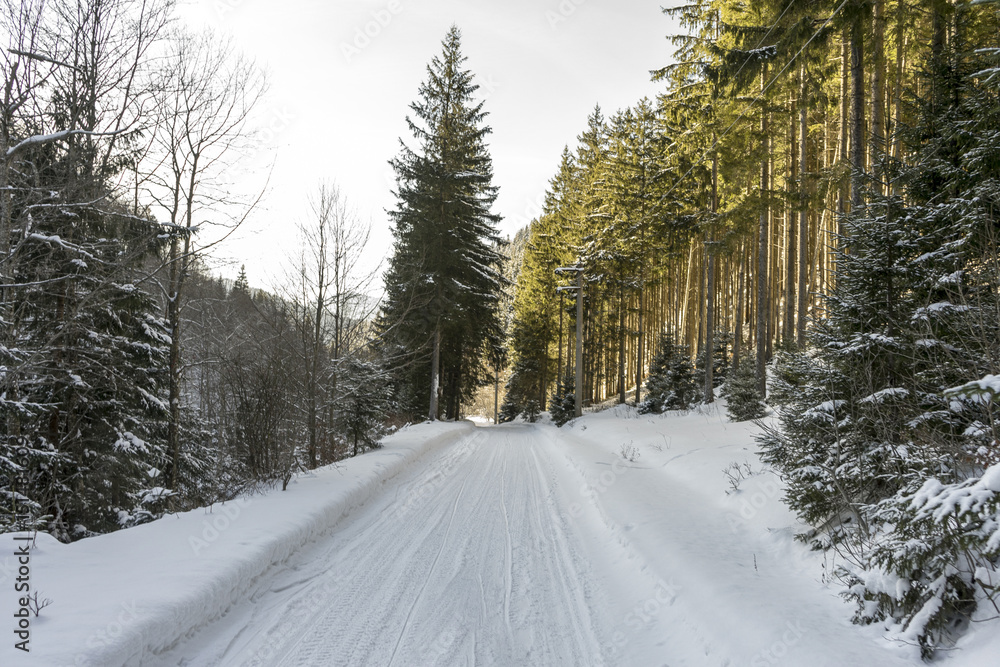 Fototapeta premium Idyllic winter landscape with snowy road in the forest, sunny day; Azuga, Romania