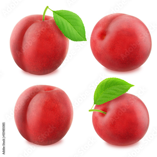 Set of juicy red plums isolated
