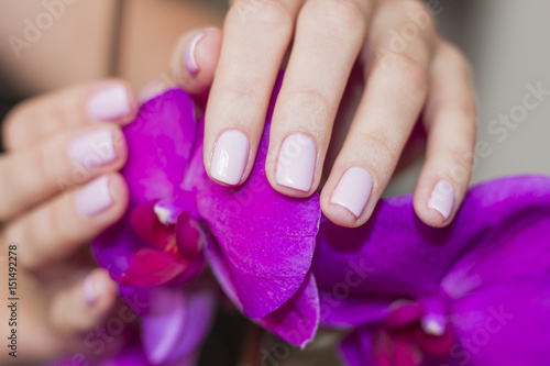 Female hands with polished nails hold orchid