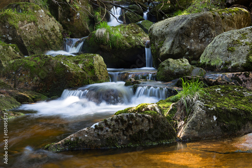 Bachlauf im Harz photo