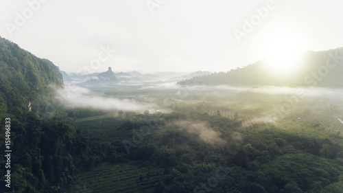 Aerial view of rainforest with mist and sunlight in the morning.