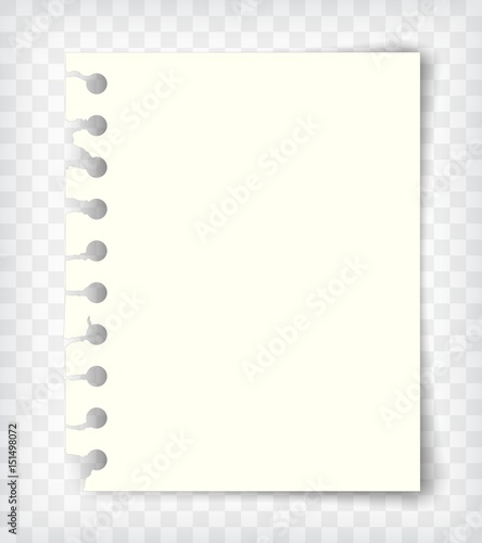Empty notebook page with torn edge