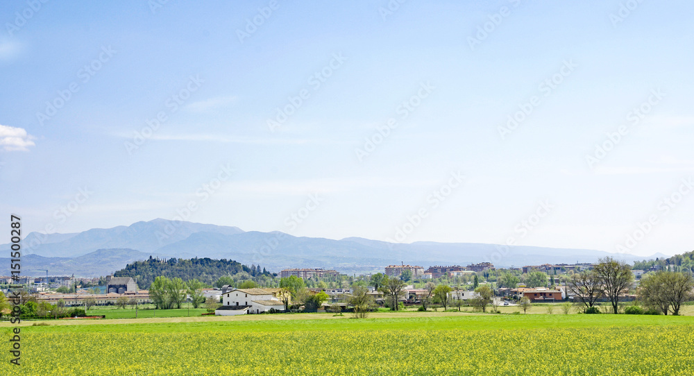 Fototapeta premium Campos de Colza en la comarca del Osona, Catalunya, España