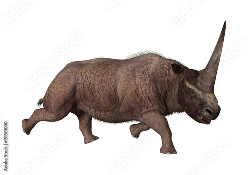 3D Rendering Elasmotherium on White © photosvac
