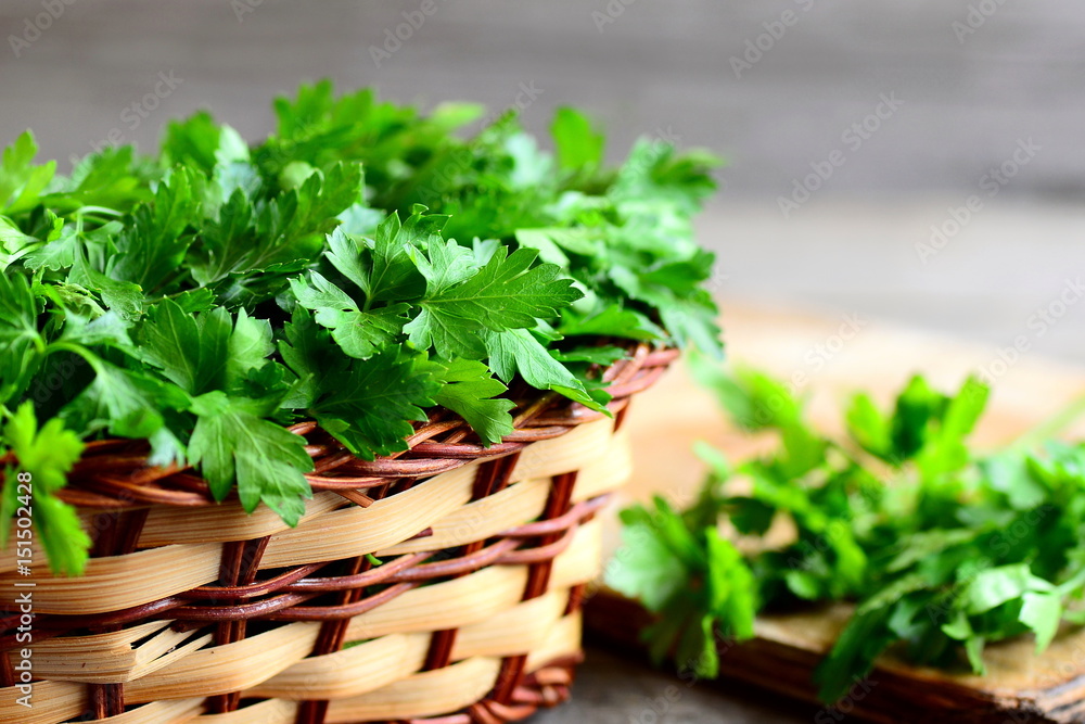 Fresh green parsley sprigs in a wicker basket and wooden board. Garden parsley plant. High source of flavonoid and antioxidants, folic acid, vitamin K, vitamin C and vitamin A. Rustic style. Closeup Fresh green parsley sprigs in a wicker basket and wooden board. Garden parsley plant. High source of flavonoid and antioxidants, folic acid, vitamin K, vitamin C and vitamin A. Rustic style. Closeup