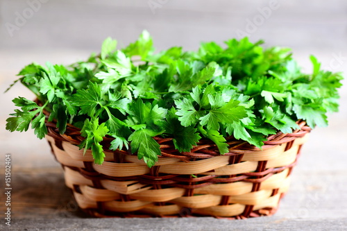 Fresh green parsley sprigs in a wicker basket. Garden parsley photo. Source of flavonoid and antioxidants, folic acid, vitamin K, vitamin C and vitamin A. Rustic style. Closeup