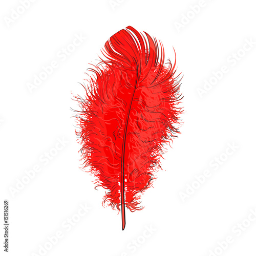 Hand drawn tender, fluffy red bird feather, sketch style vector illustration on white background. Realistic hand drawing of scarlet, red tender feather