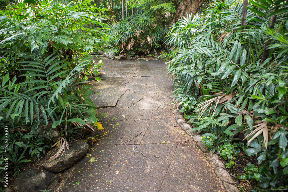 Naklejka premium Walkway wet