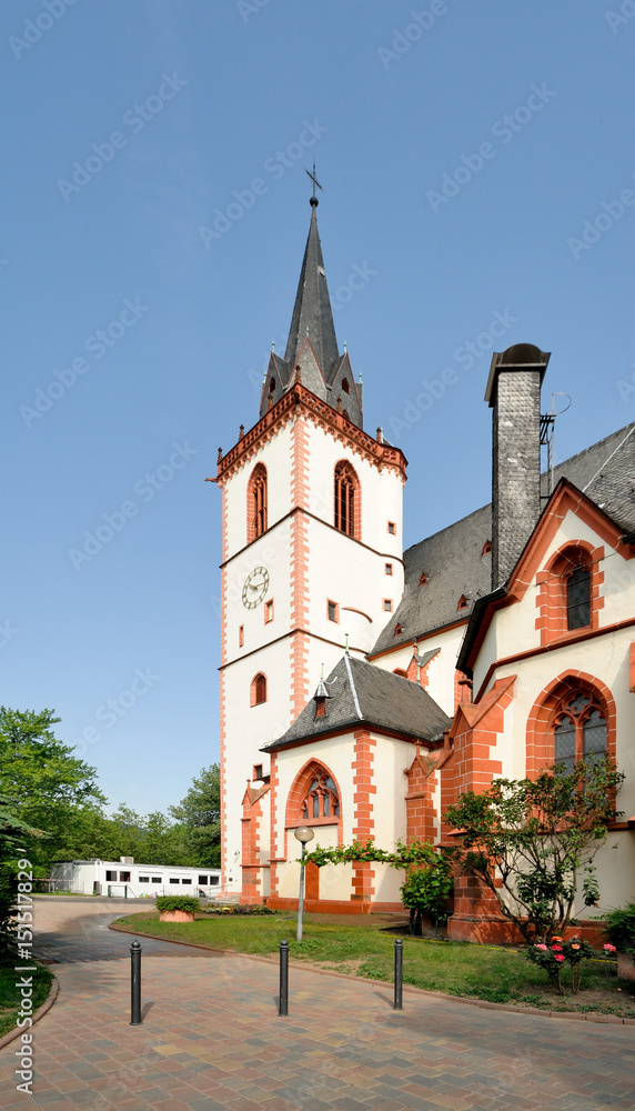 Katholische Pfarrkirche St. Martin, Bingen, Unesco Weltkulturerbe Oberes Mittelrheintal, Rheinland-Pfalz, Deutschland, Europa