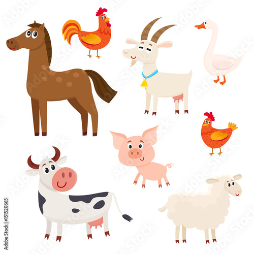 Fototapeta Naklejka Na Ścianę i Meble -  Set of farm animals - cow, sheep, horse, pig, goat, rooster, hen, goose, cartoon vector illustration isolated on white background, Set of cute and funny farm animals with friendly faces and big eyes