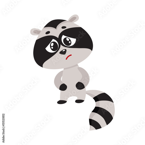 Sick baby raccoon standing paws on stomach, having colic, cramps, abdominal pain, cartoon vector illustration isolated on white background. Sick little raccoon having stomach ache, cramps, colic
