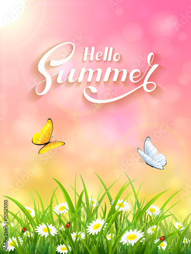 Pink Summer background with grass and Sun