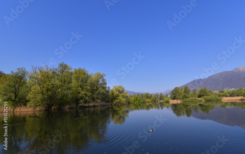 Panorama del lago in mezzo alla palude in primavera con cielo blu © fotonaturali