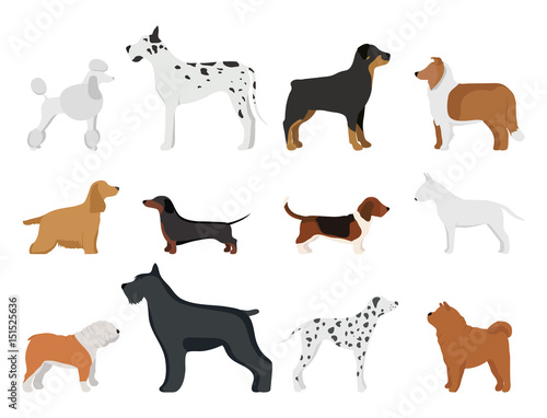 Funny cartoon dog character bread in cartoon style vector illustration.