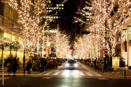 Tokyo City was decorated by lighting in the period of new year celebrities