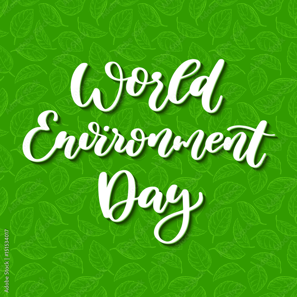 World environment day vector hand lettering. Holiday typography. World environment day vector hand lettering. Holiday typography.