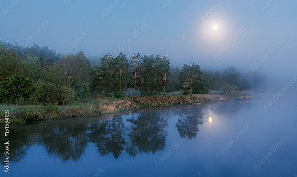 Fototapeta premium moon