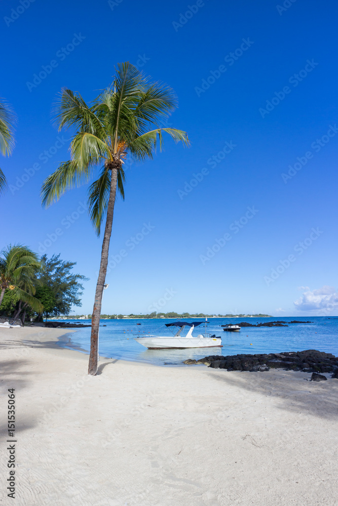 Beautiful Mauritius Beach