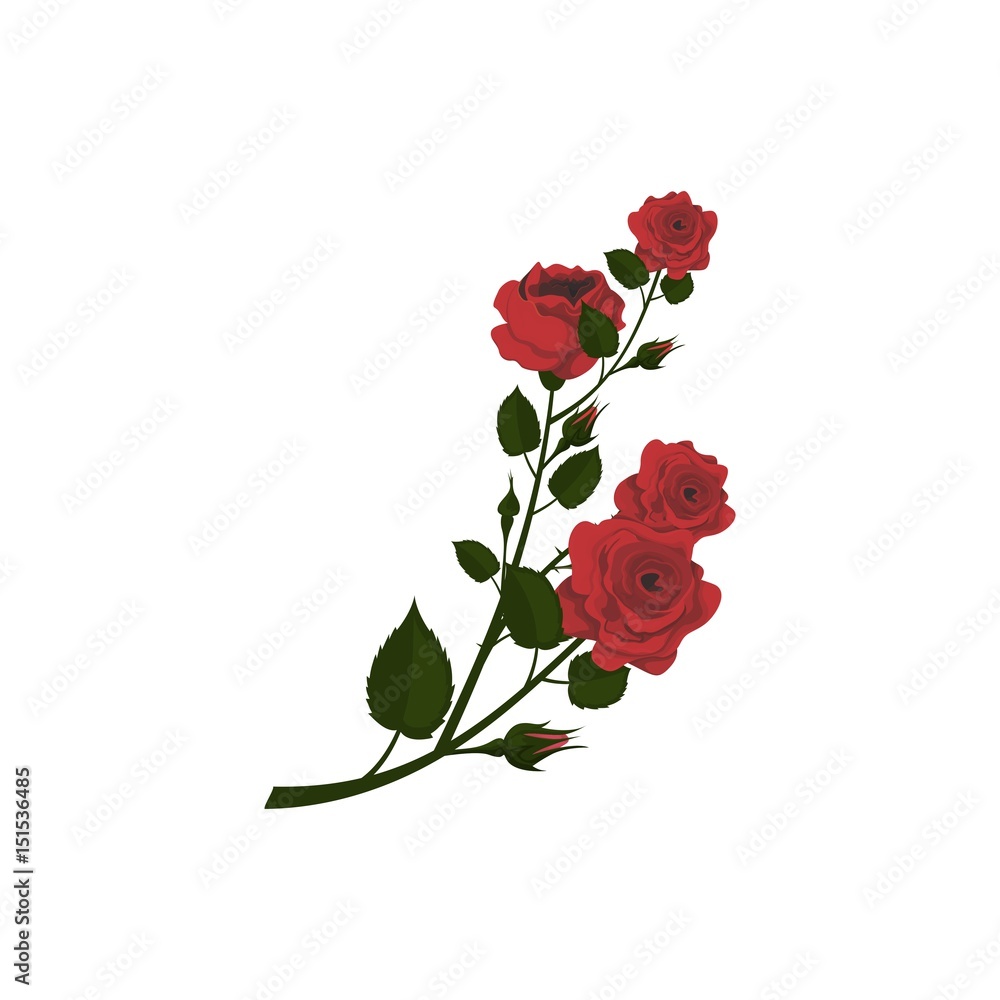 Beautiful Red Rose Vector Template Design Beautiful Red Rose Vector Template Design