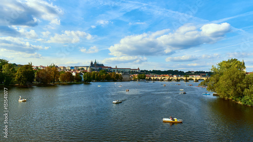 Praha panorama, The view over the Vltava river, Charles bridge and white swans from Mala Strana in Prague, Czech Republic, on a clear sunny winter day