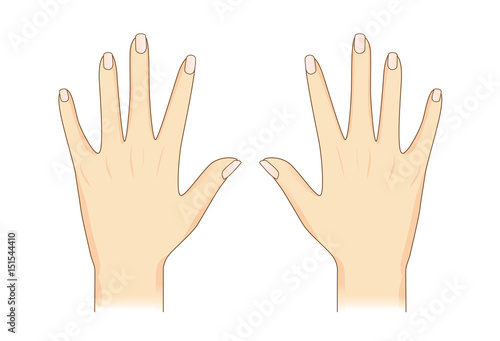 Vector hand in back side view on isolated. Illustration about Human body part.