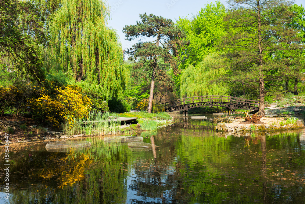view of botanical garden of Wroclaw at summer day, Poland view of botanical garden of Wroclaw at summer day, Poland
