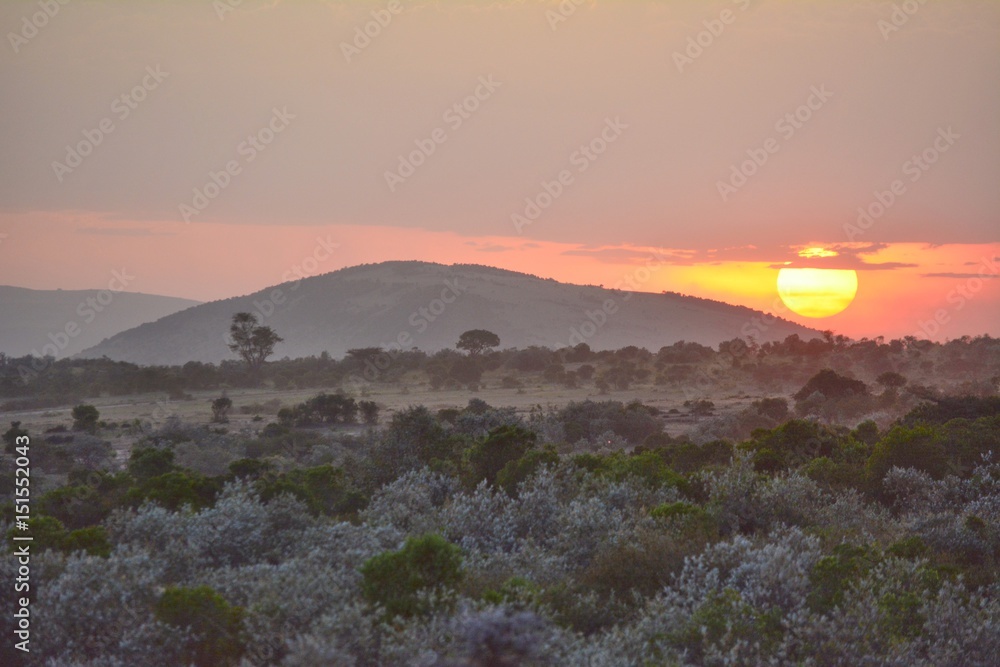 Obraz premium Kenia Safari