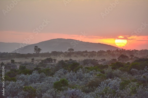 Kenia Safari